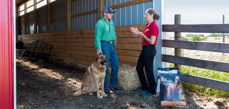 Feed Team trusted support for animal nutrition