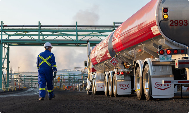 Powering Your Projects from the Ground Up