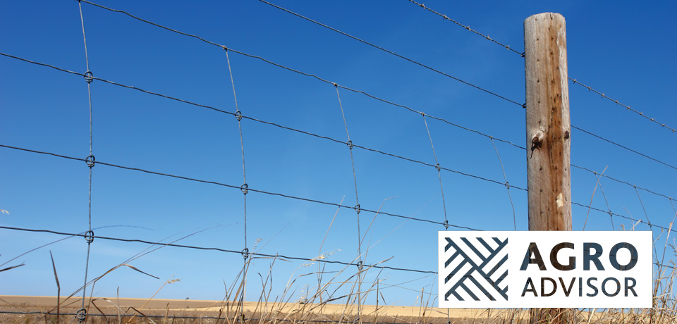 Fencing: down to the wire