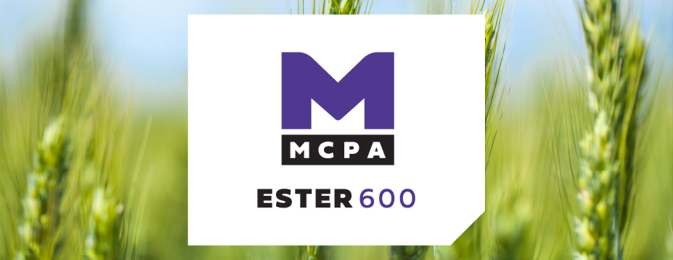 MCPA Ester 600