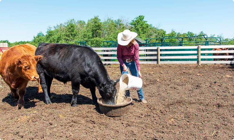 Right Equipment for The Right Job