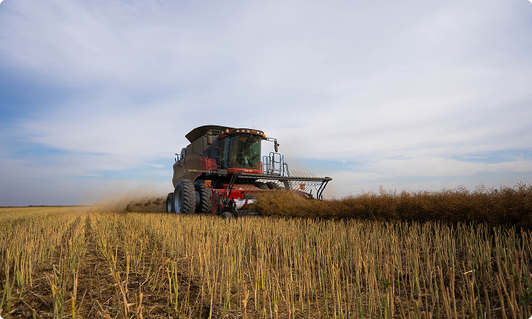 Plan for Continual Improvement