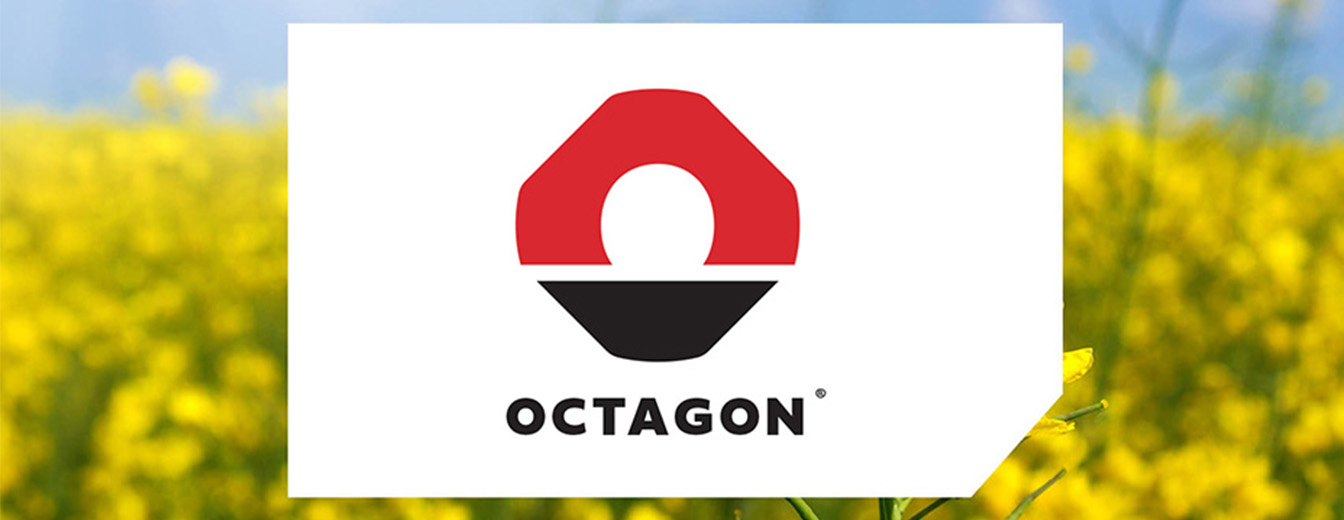 OCTAGON