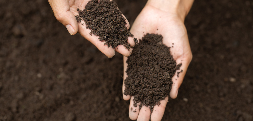 Soil testing: why It&rsquo;s worth It
