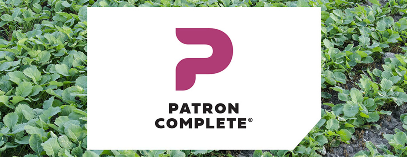 PATRON COMPLETE