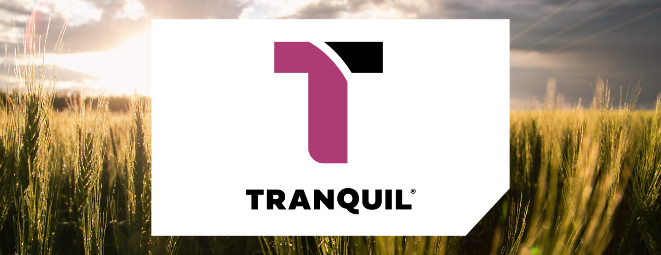 TRANQUIL