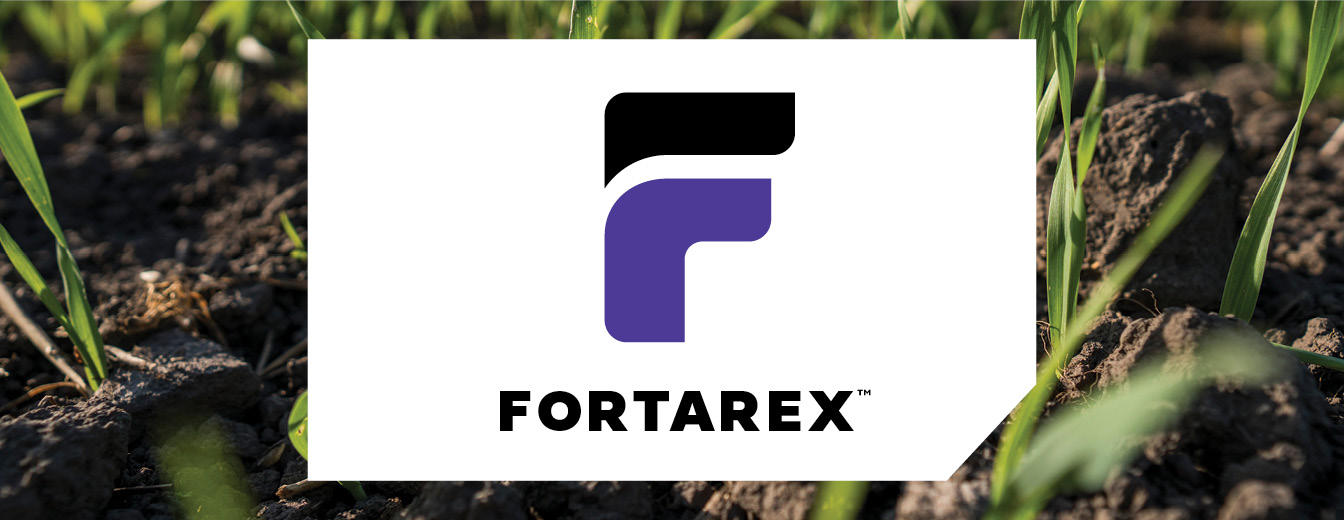 FORTAREX