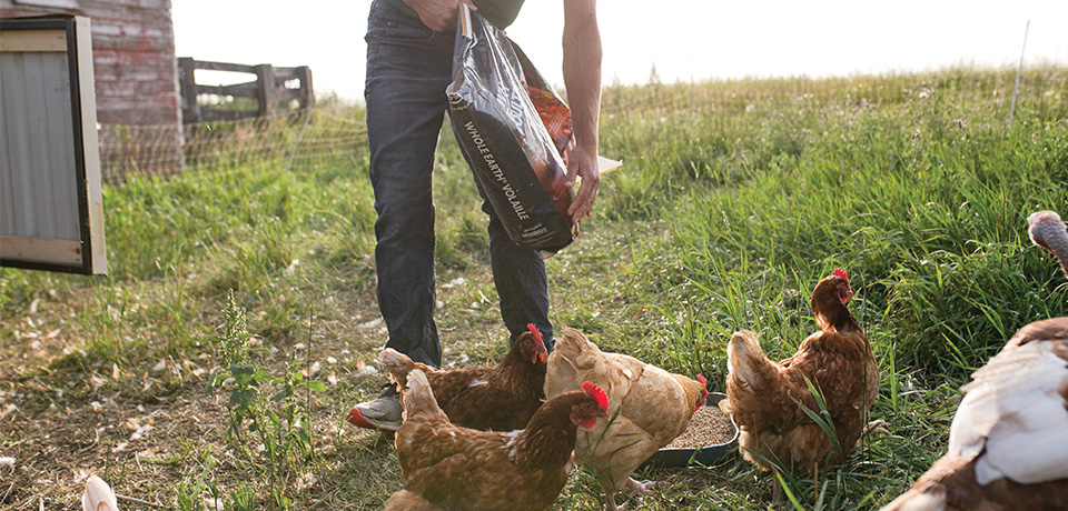 Whole Earth for the whole farm