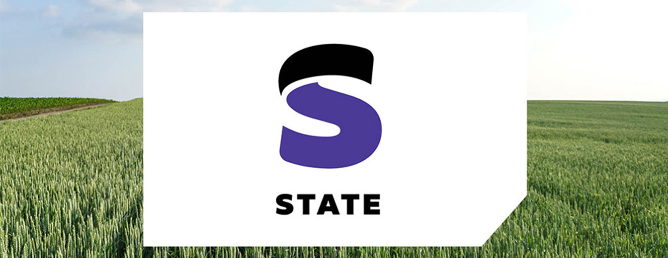 STATE