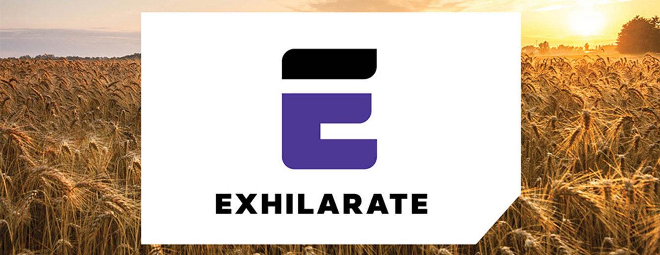 EXHILARATE