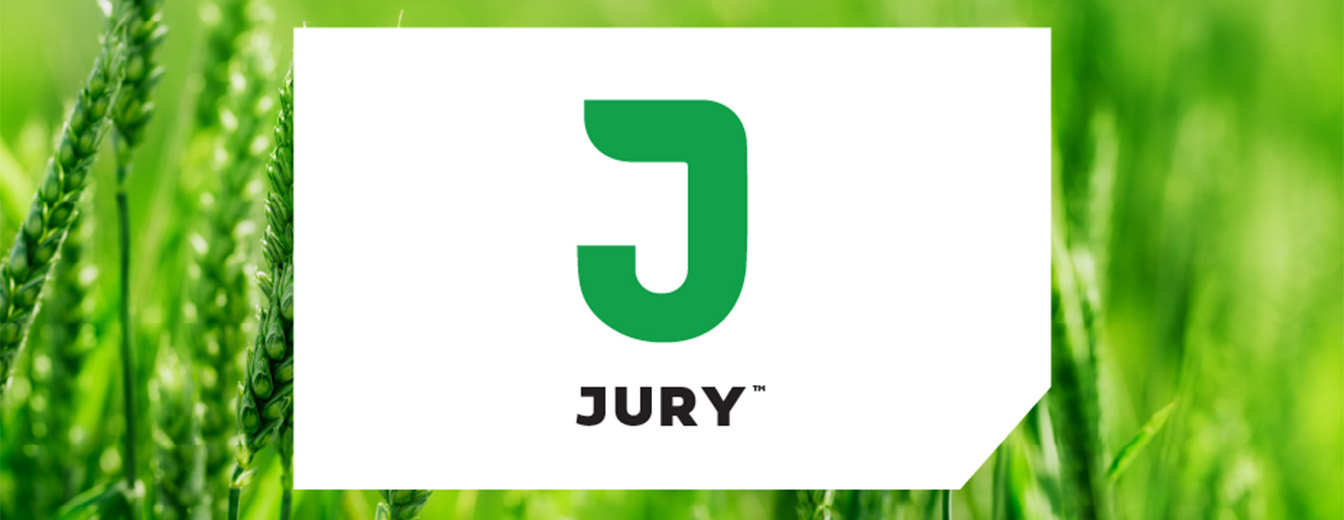 JURY