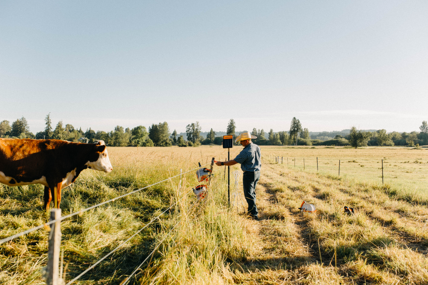 Fencing Solutions