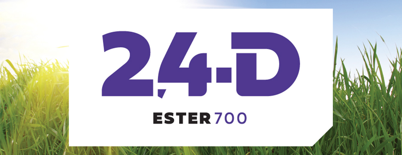 2,4-D Ester 700