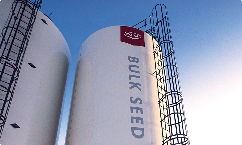 Advice you can count on