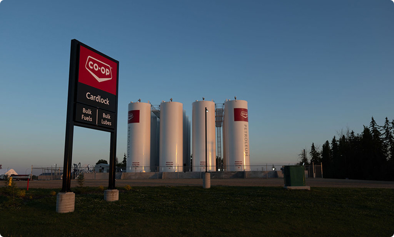 A Network That Goes the Distance