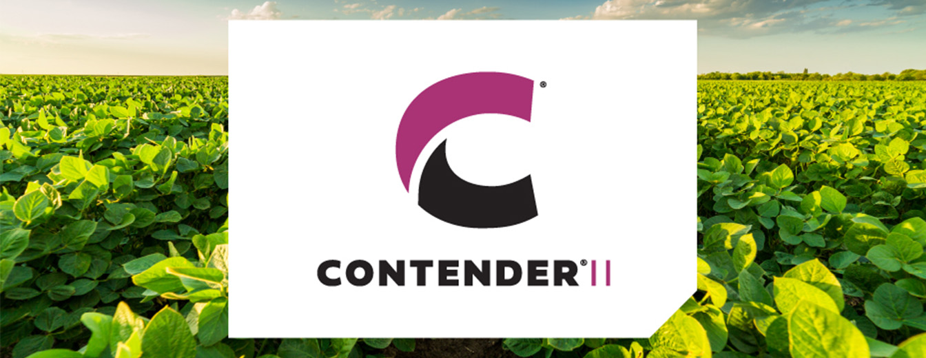 CONTENDER II